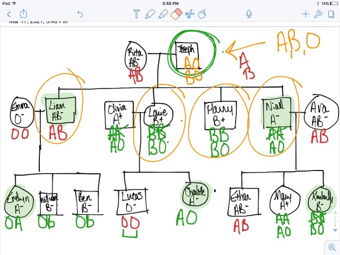 Blood type pedigree mystery answer key pdf