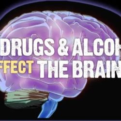 Adhd medications medicamentos cerebro pills tdah functions medication efecto headache abused selfhacked stimulants fisiomorfosis stimulant