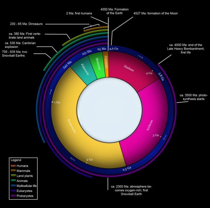 Geological timeline activity answer key