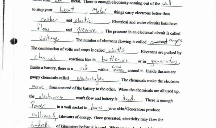 Bill nye genes video worksheet answers