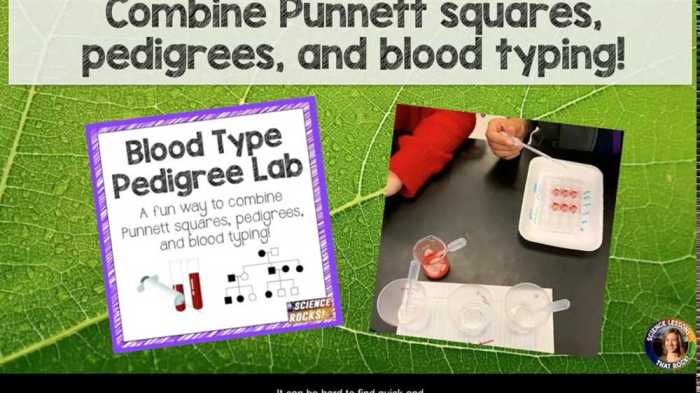 Blood type pedigree mystery answer key pdf