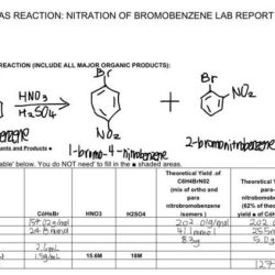 Bromination of alkene lab report