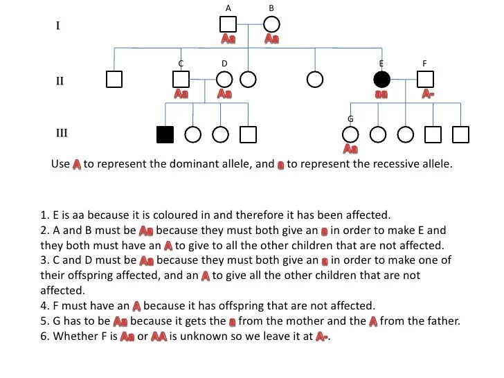 Blood type pedigree mystery answer key pdf