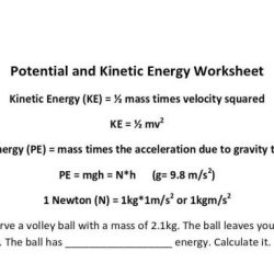 Potential versus kinetic energy worksheet