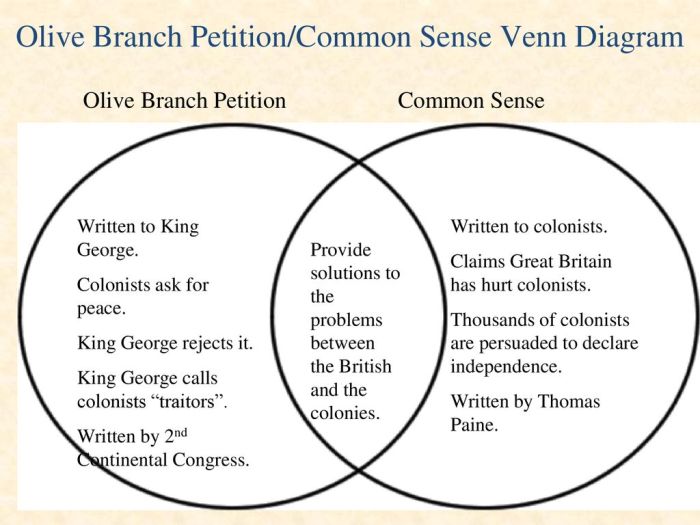 Common sense and declaration of independence venn diagram