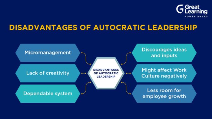 Autocratic leadership skills