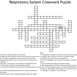 Respiratory system crossword puzzle answer key