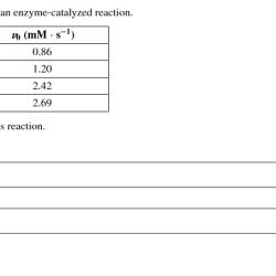 Attempt homeworklib trendline enzyme catalyzed collected