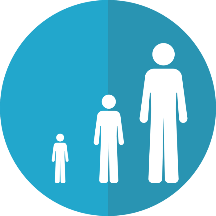 Lifespan development a chronological approach