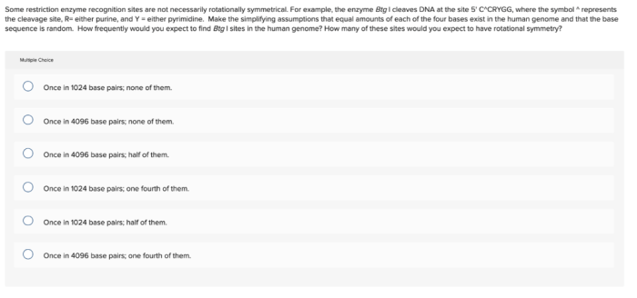 What products are expected in the ethoxide-promoted