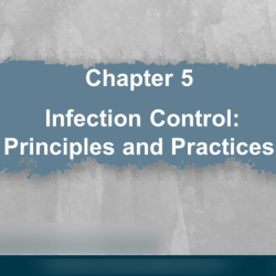 Milady chapter 5 infection control workbook answers